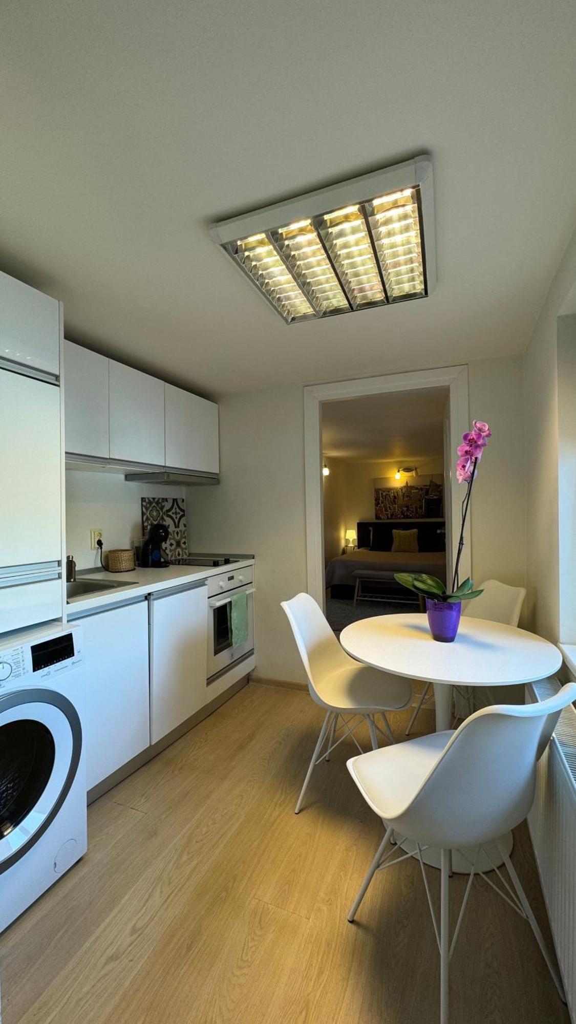 Elite Residence Тимишоара Экстерьер фото